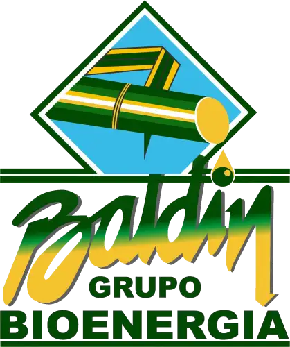 Grupo Baldin